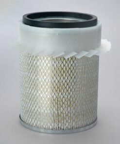 P181045 | Lọc Khí Donaldson, Primary Finned